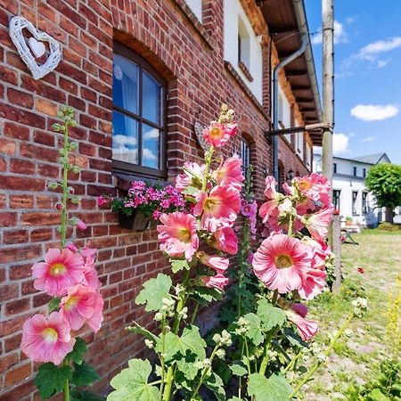 Ostsee Bauernhof Schwalbennest Ofc 15 Steffenshagen Exteriér fotografie
