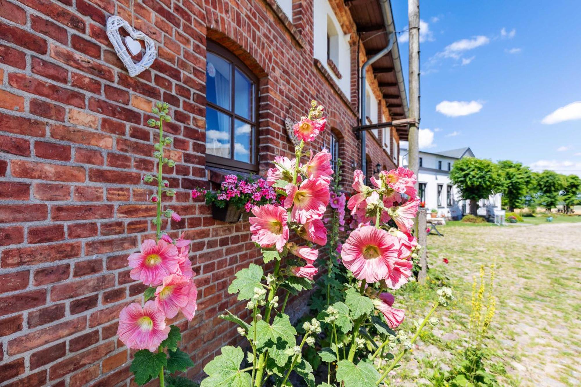 Ostsee Bauernhof Schwalbennest Ofc 15 Steffenshagen Exteriér fotografie